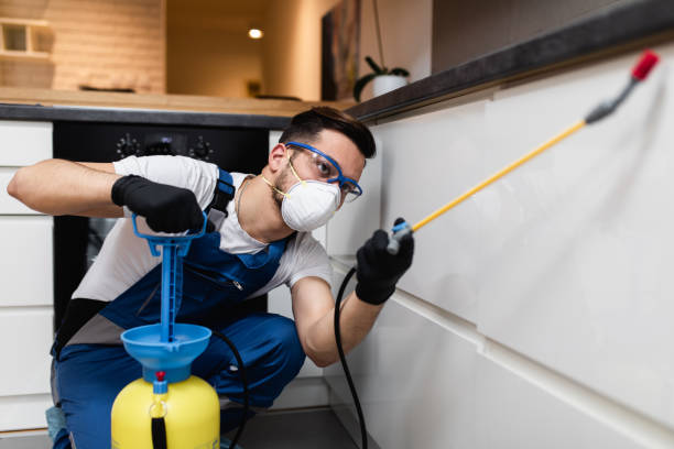 Best Mosquito Control Services  in Dayton, TX