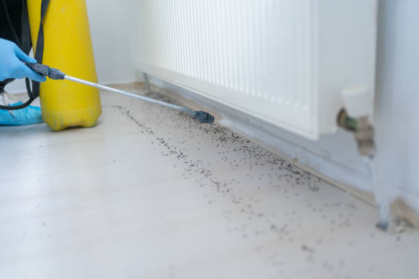 Pest Control Cost in Dayton, TX