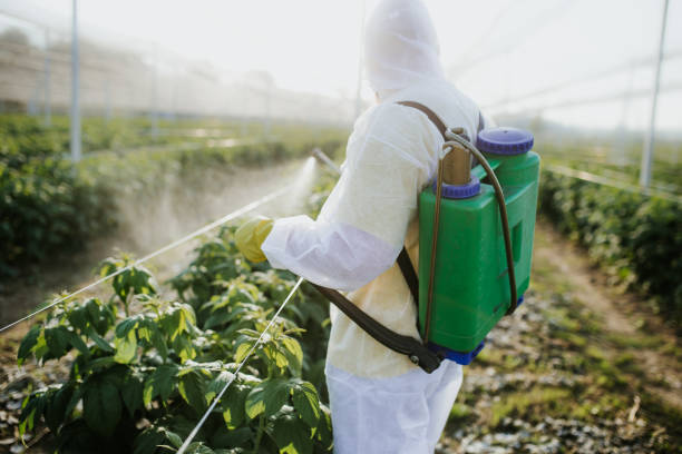Professional Pest Control in Dayton, TX